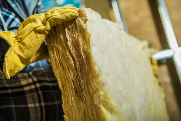 Best Attic Insulation Near Me  in Denver City, TX