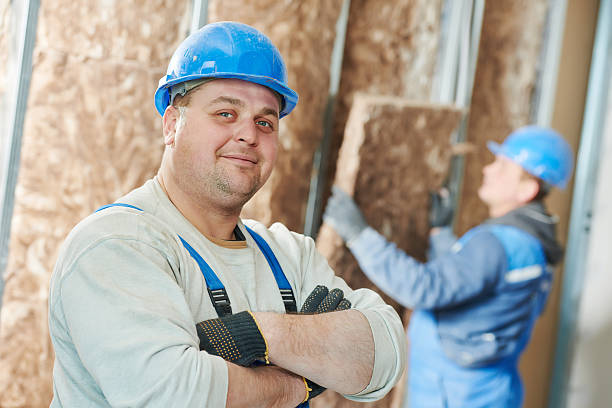 Best Insulation Removal  in Denver City, TX