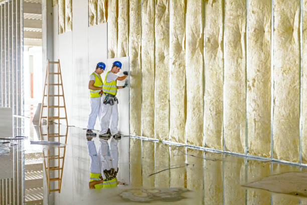 Best Wall Insulation Contractor  in Denver City, TX